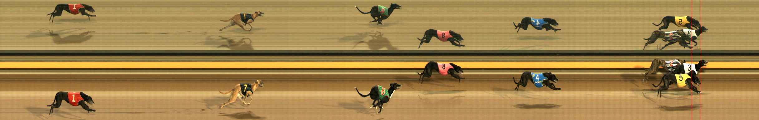 Race result finish photo